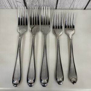 Oneida SATIN GARNET Stainless 18/10 Forks 2 Sizes Frost Glossy Silverware